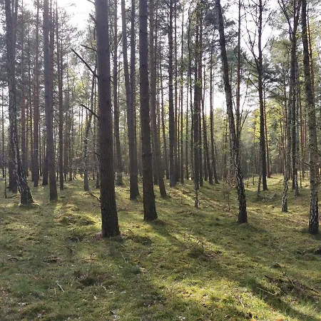 M&k - Morska Bryza, Sobieszewo- Wyspa Sobieszewwska Gdansk