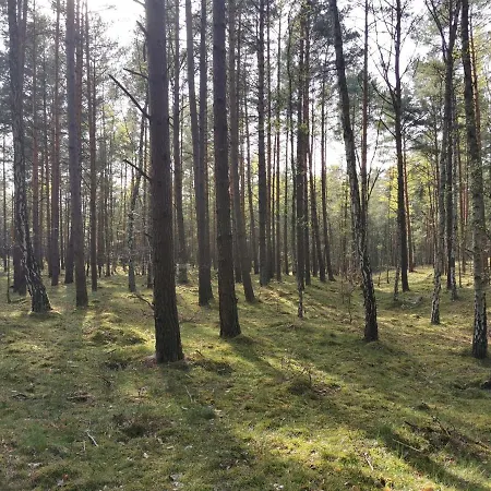 M&k - Morska Bryza, Sobieszewo- Wyspa Sobieszewwska Gdańsk