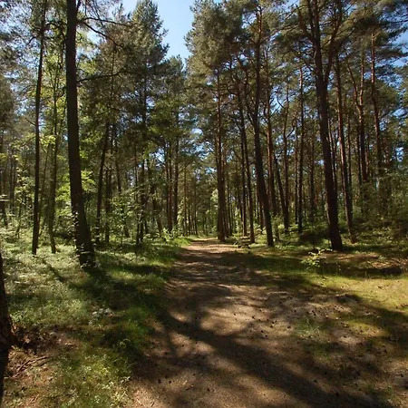 M&k - Morska Bryza, Sobieszewo- Wyspa Sobieszewwska 格但斯克