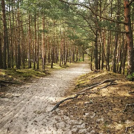 Apartman M&k - Morska Bryza, Sobieszewo- Wyspa Sobieszewwska