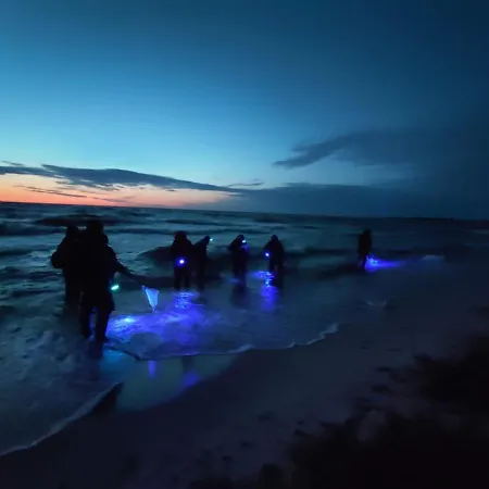 公寓 M&k - Morska Bryza, Sobieszewo- Wyspa Sobieszewwska