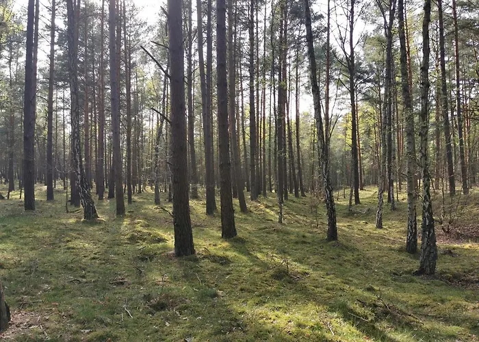 M&k - Morska Bryza, Sobieszewo- Wyspa Sobieszewwska Gdańsk