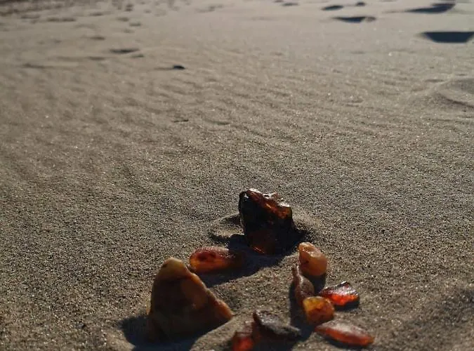 Appartement M&k - Morska Bryza, Sobieszewo- Wyspa Sobieszewwska