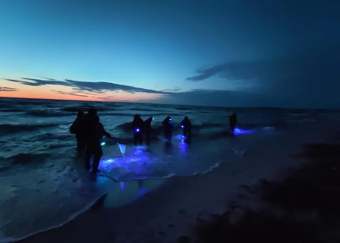 Appartement M&k - Morska Bryza, Sobieszewo- Wyspa Sobieszewwska