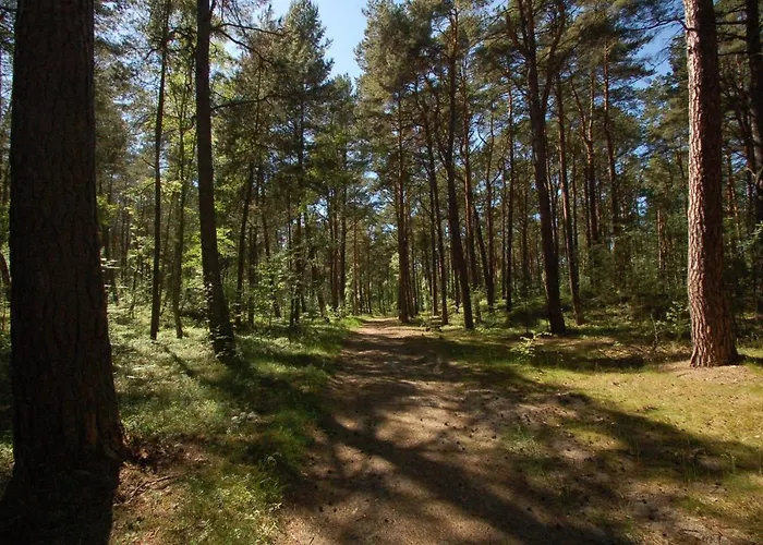 M&k - Morska Bryza, Sobieszewo- Wyspa Sobieszewwska 그단스크